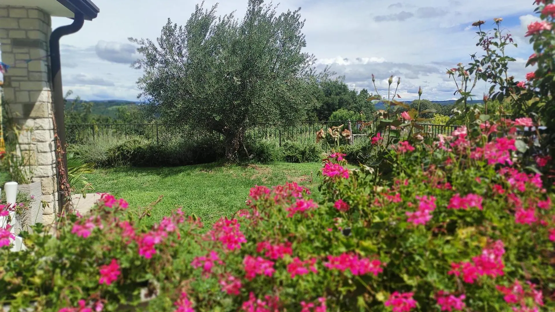 Villa Palazzon - Nova Vas ~ Novigrad